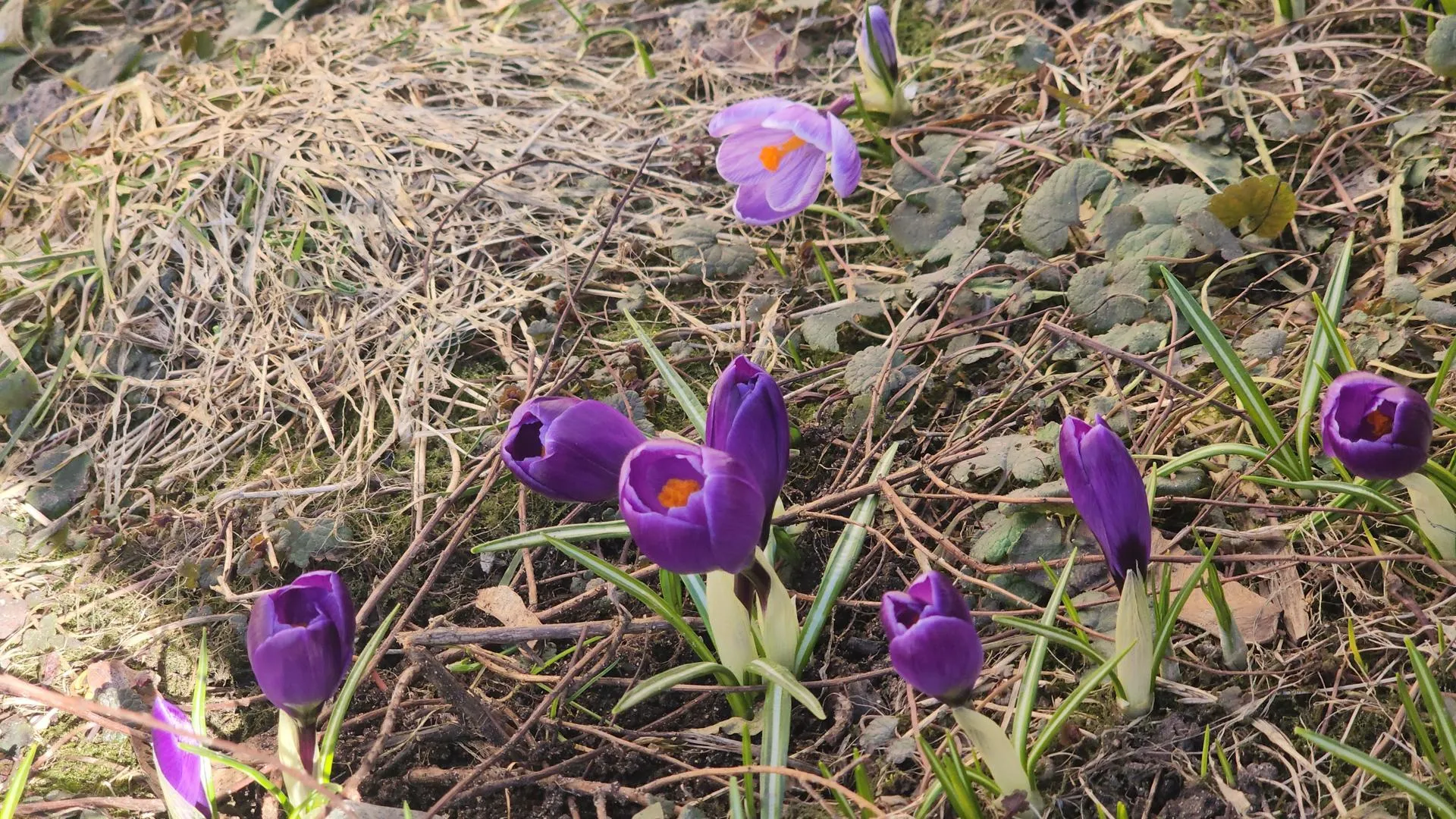 REGIONS/Роман Кутузов