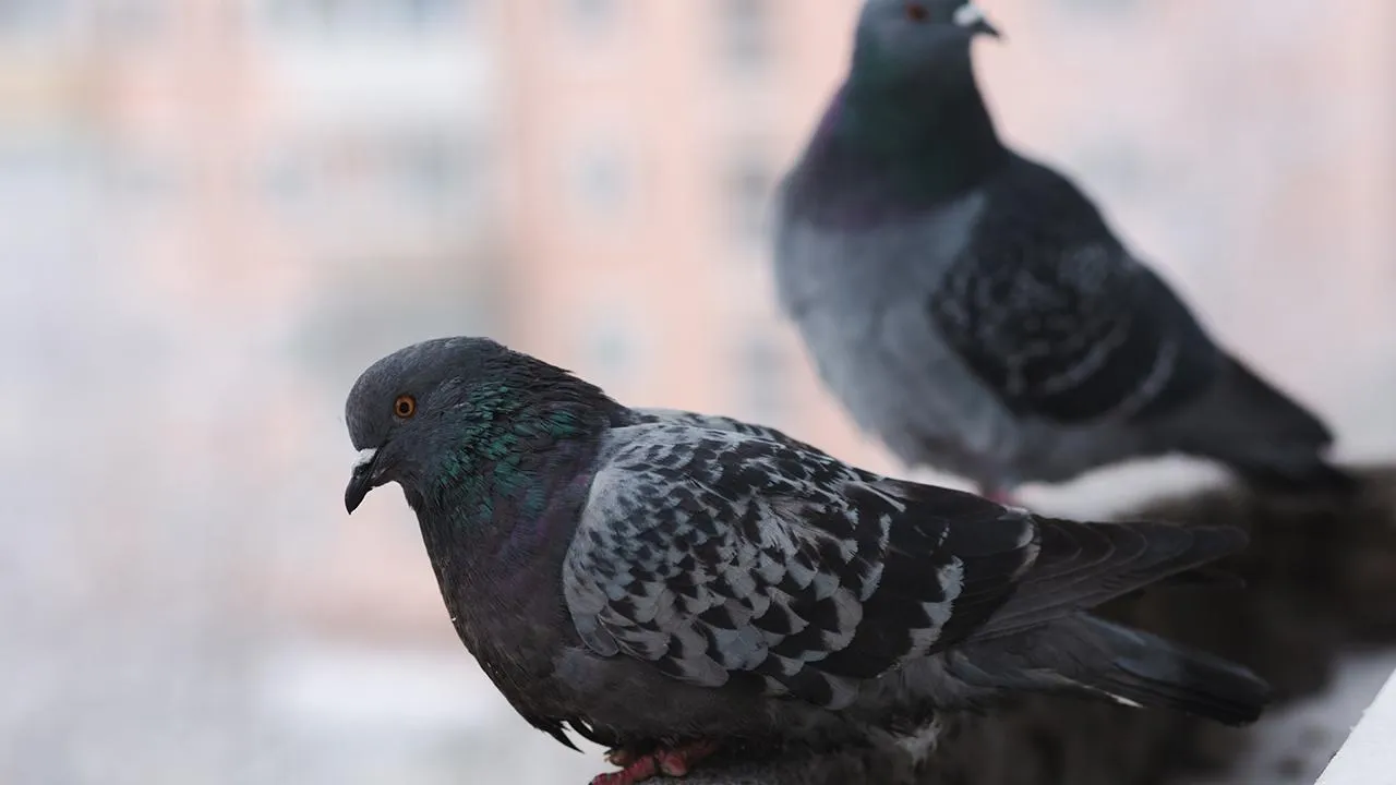 istockphoto.com/Marina Khromova