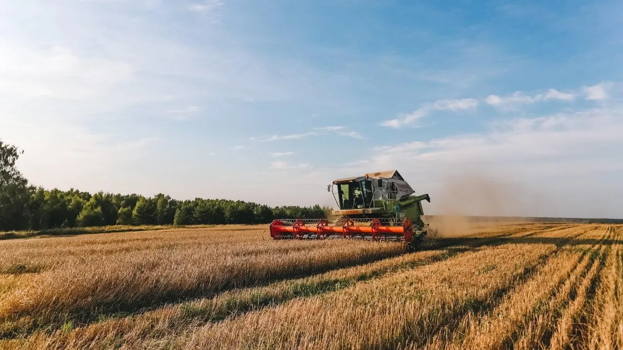 Фото: Анна Реппель