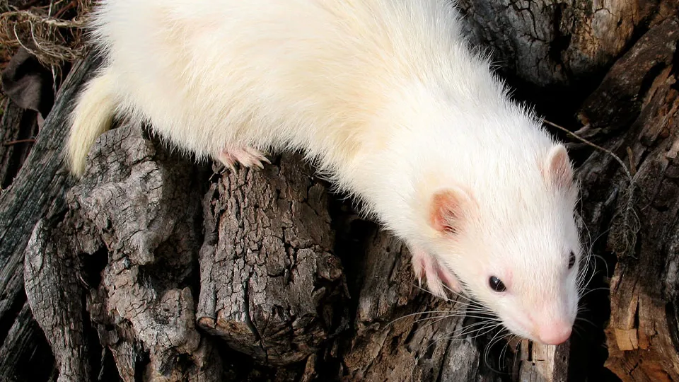 Фото: istockphoto.com