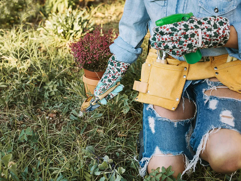 Фото: freepik.com