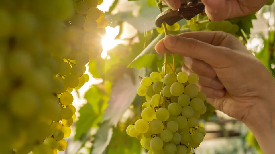 Фото: istockphoto.com