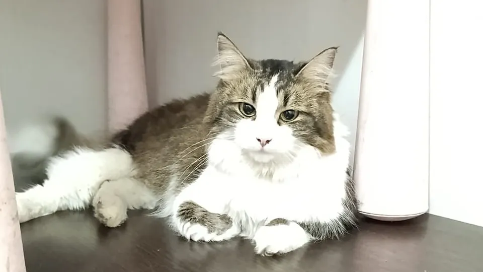 Фото: Наталья Малуха