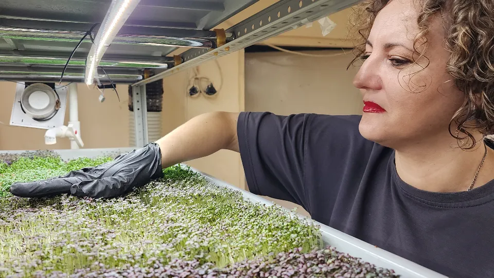 Фото: МедиаБанк Подмосковья/Андрей Алекин