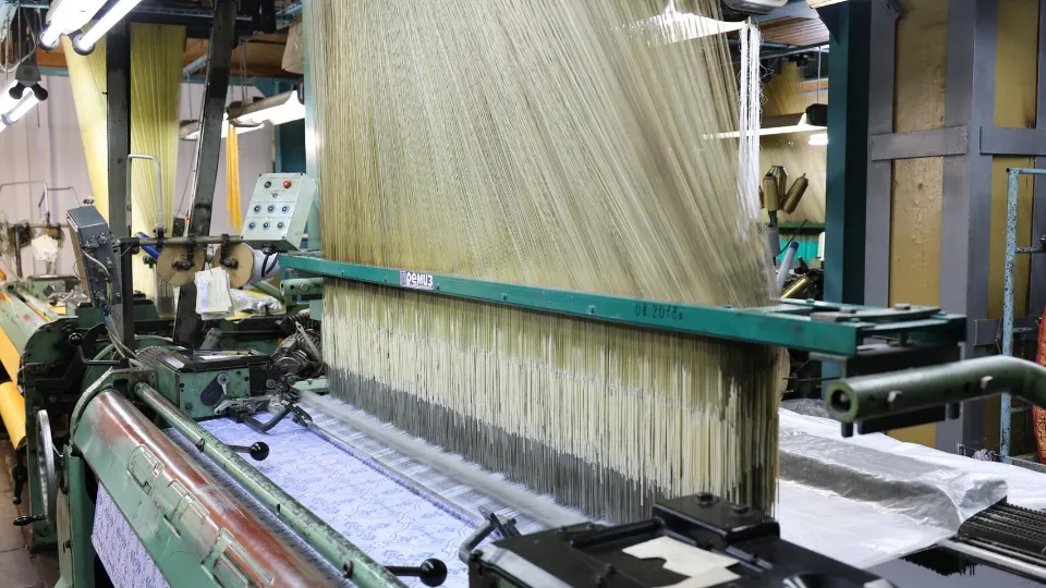 Фото: пресс-служба администрации Павлово-Посадского г.о.