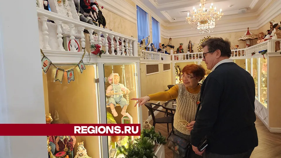 Фото: REGIONS/Александр Степушкин