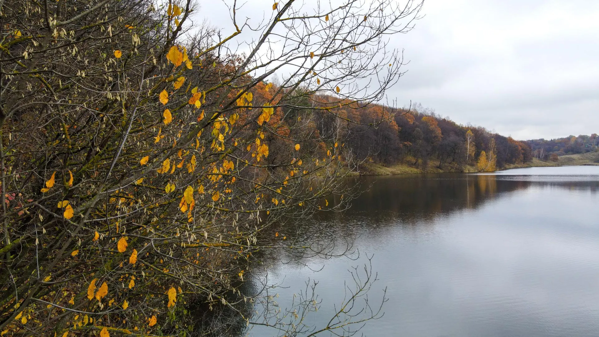 Администрация г.о. Кашира