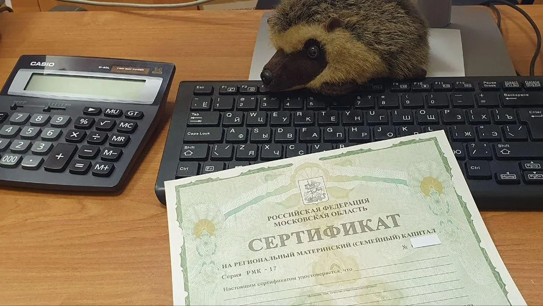 Министерство социального развития Подмосковья