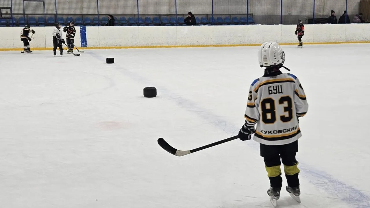 МедиаБанк Подмосковья/Ольга Вельшикаева