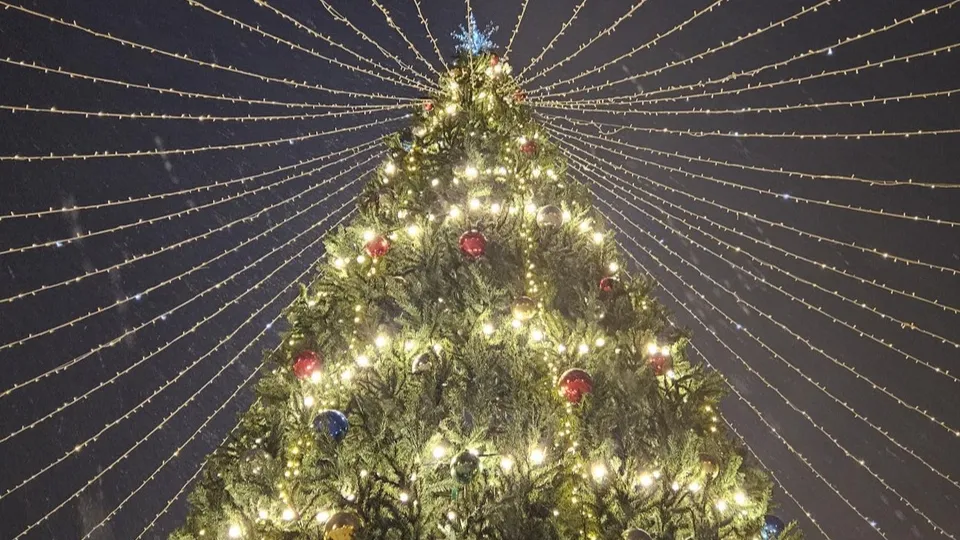 Фото: МедиаБанк Подмосковья/Ольга Вельшикаева