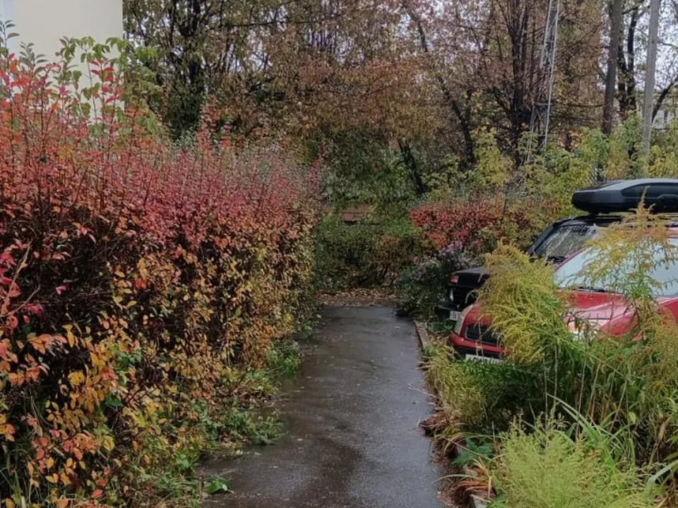 Фото: пресс-служба городского округа Кашира