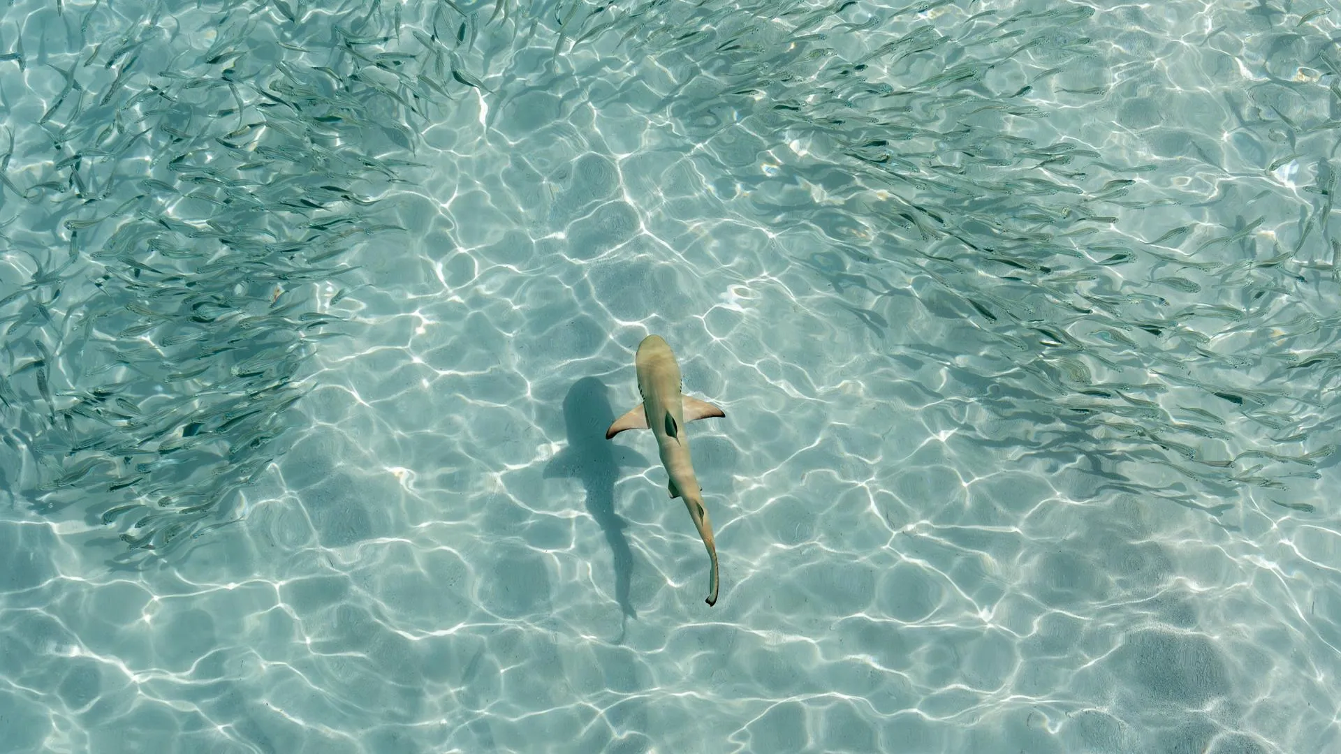 IMAGO/Cezary Wojtkowski