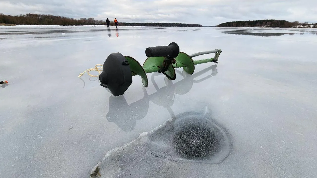 МедиаБанк Подмосковья/Екатерина Данилина