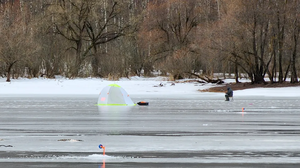 Фото: МедиаБанк Подмосковья/Екатерина Данилина