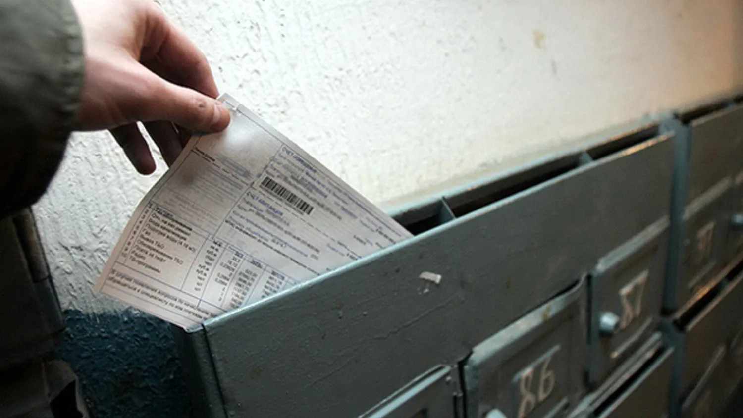 Фото: unsplash.com