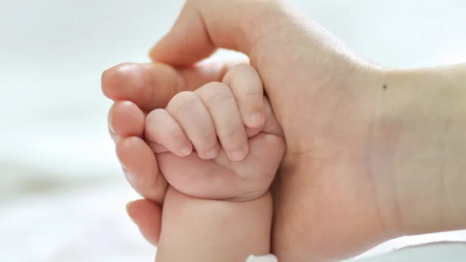 Фото: freepik.com