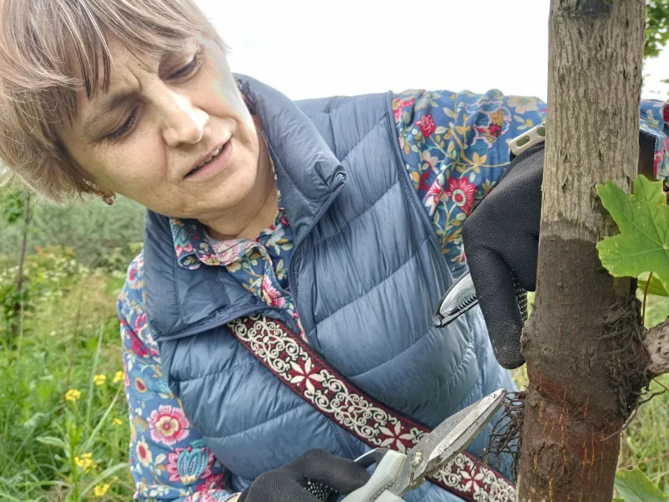 Фото: Общественная палата г.о. Жуковский&nbsp;