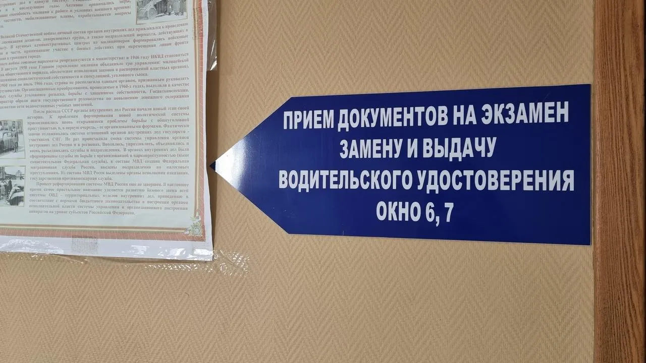 REGIONS/Юлия Алабина