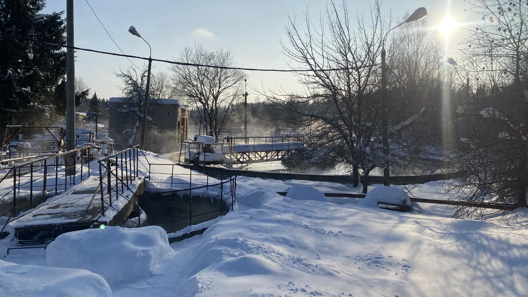 Анна Артюшина