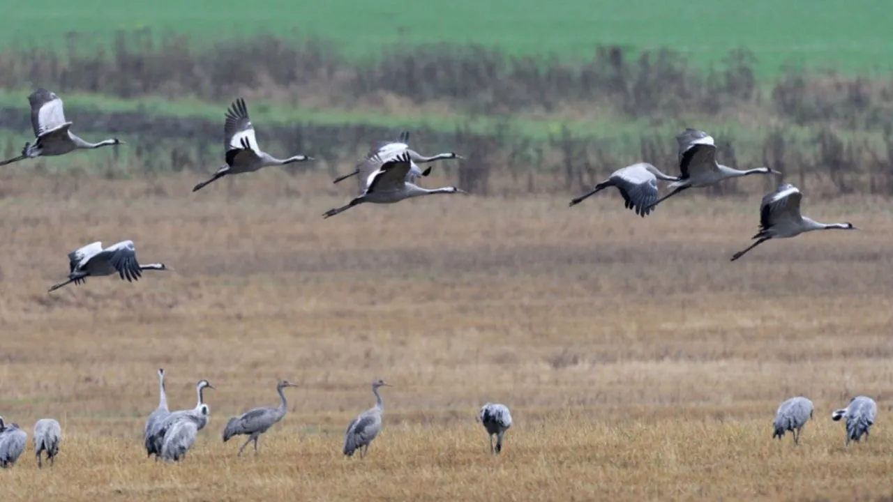 Фото: предоставлено Игорем Барташовым