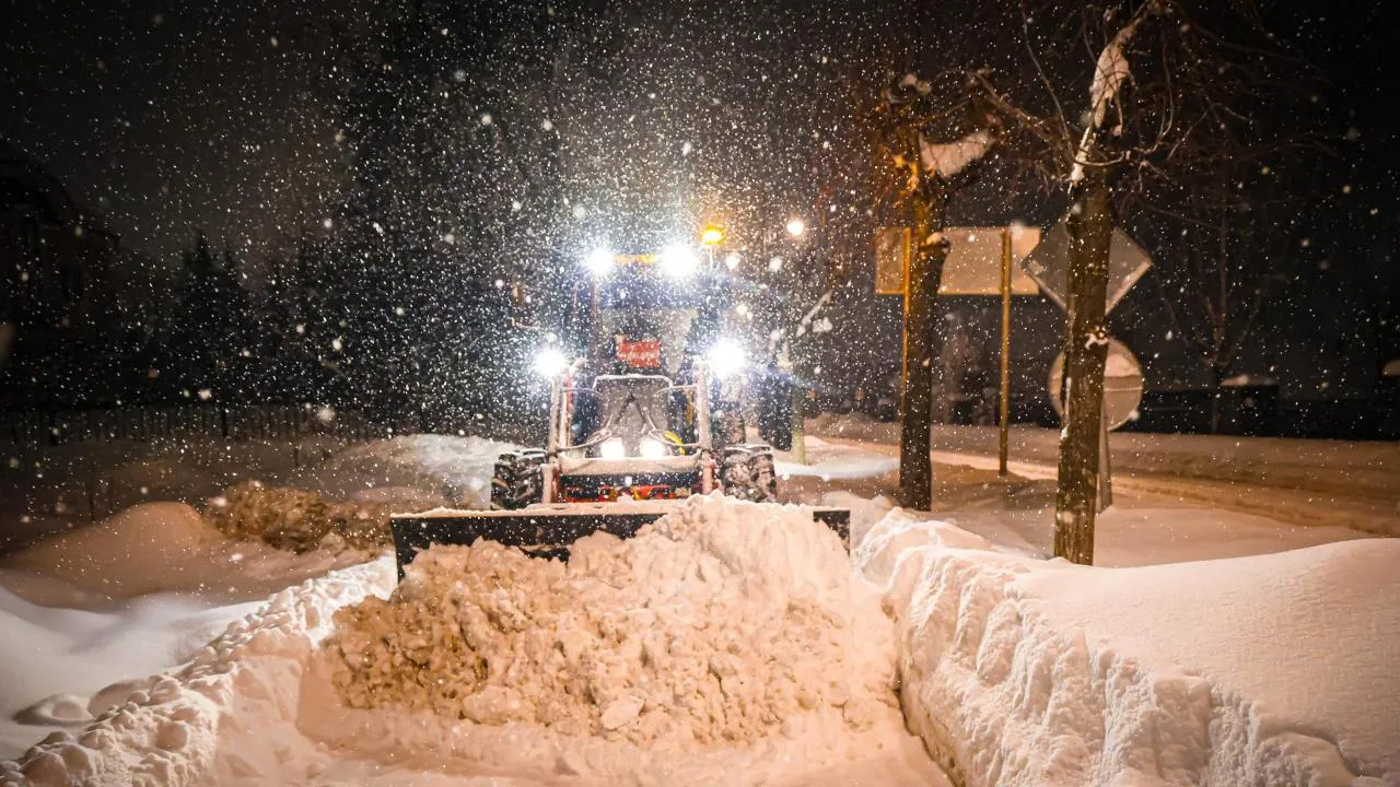 МедиаБанк Подмосковья/Данила Кирьянов