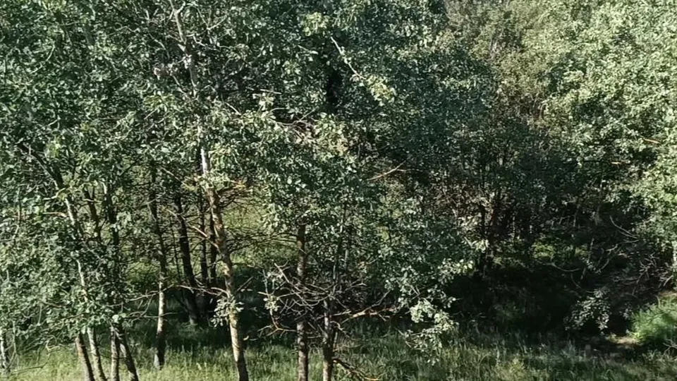 Фото: Министерство имущественных отношений МО