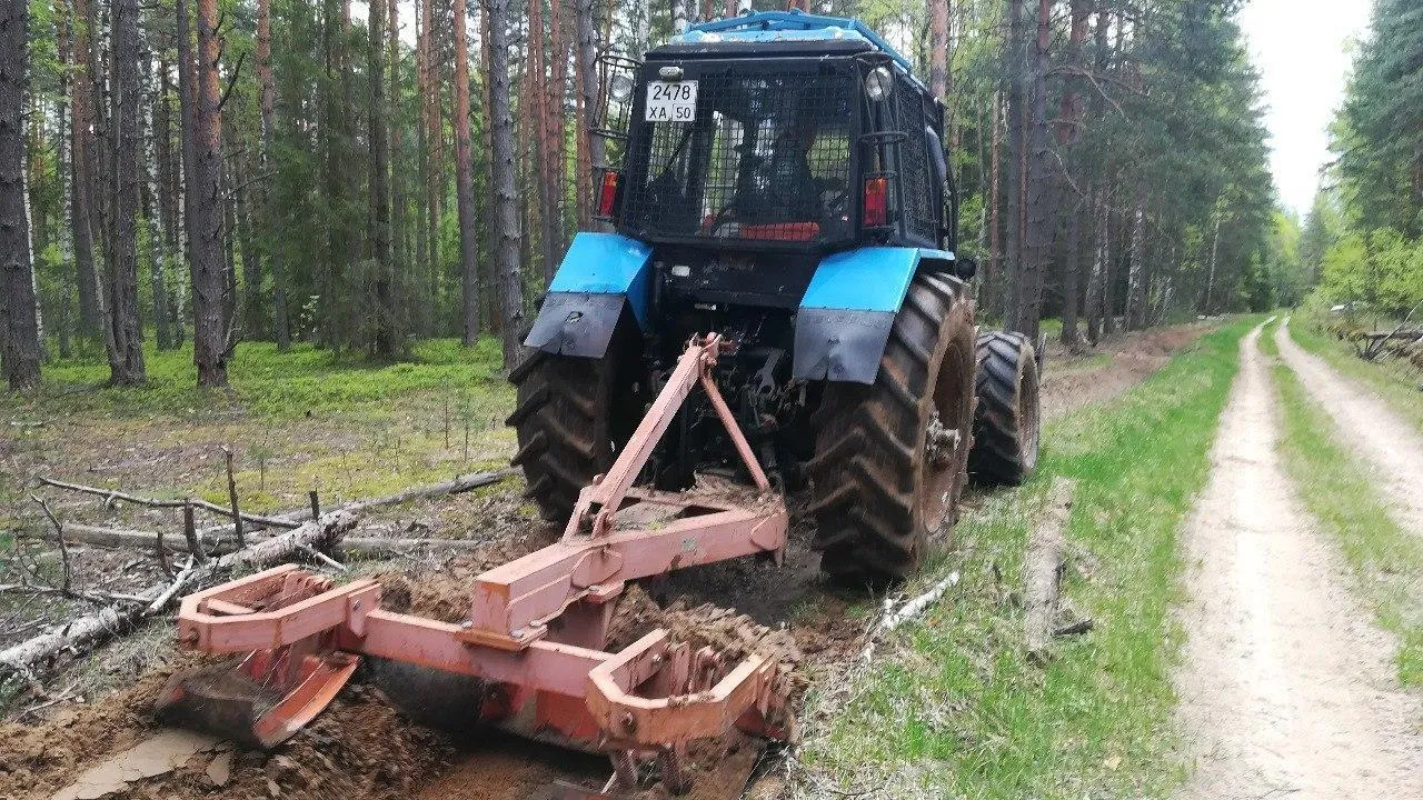 Работы по устройству минполос завершаются в лесах Подмосковья