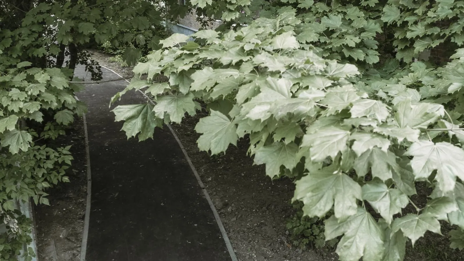 Фото: ГУСТ Московской области