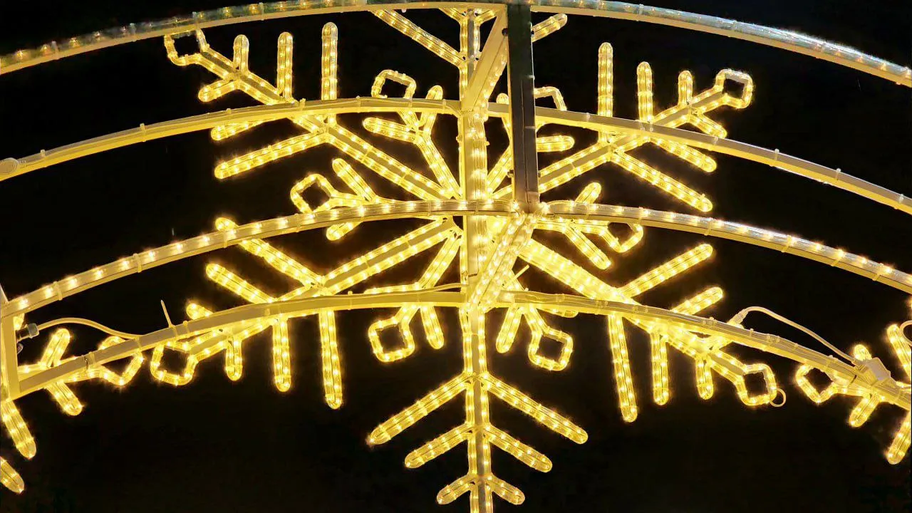 Фото: Мария Панина