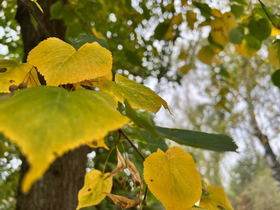 Фото: REGIONS/Юлия Куделькина