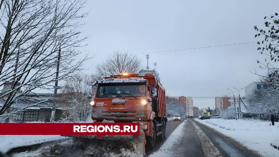 Фото: Яна Шаливская
