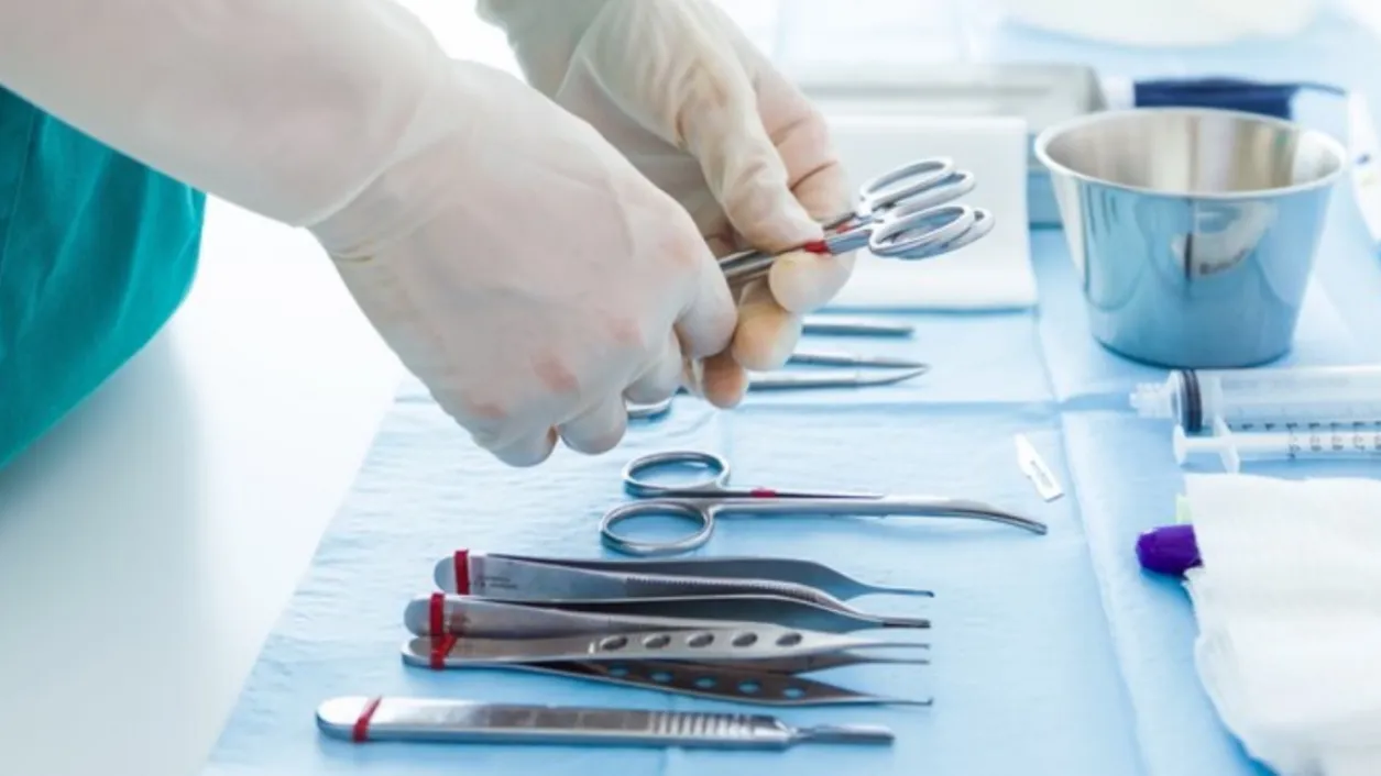 Фото: freepik.com