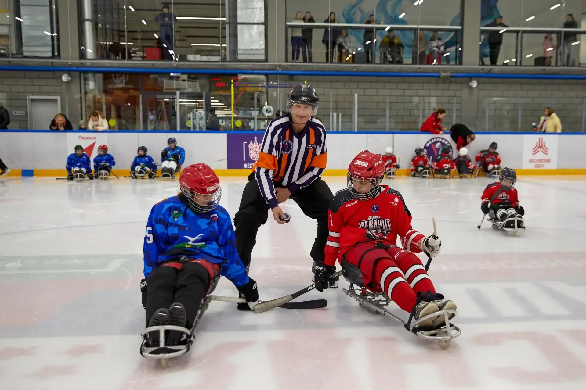 предоставлены Викторией Хван