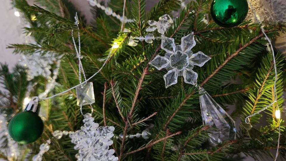 Фото: МедиаБанк Подмосковья/Валерия Тингаева