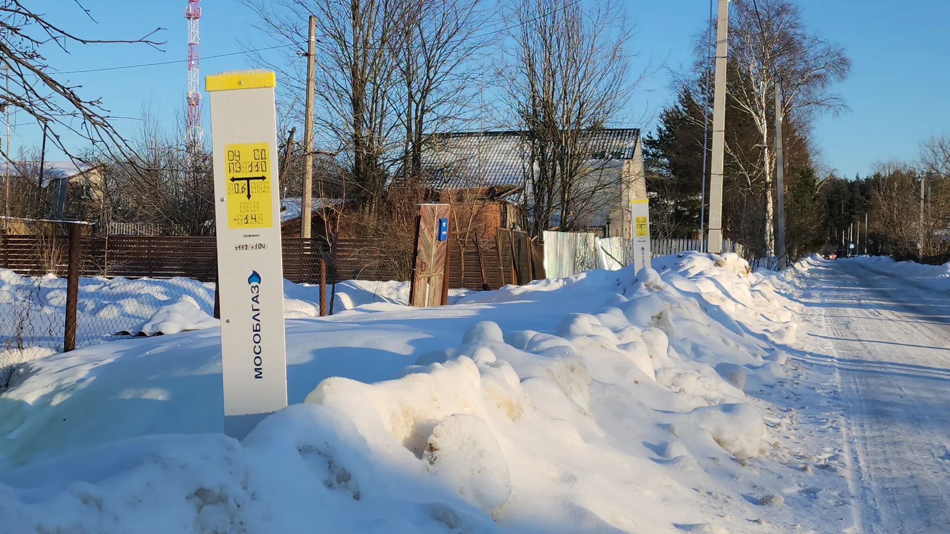 Алена Притула