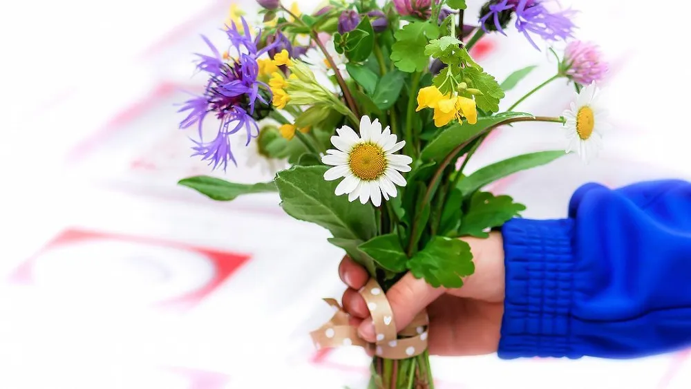 Фото: triptonkosti.ru.