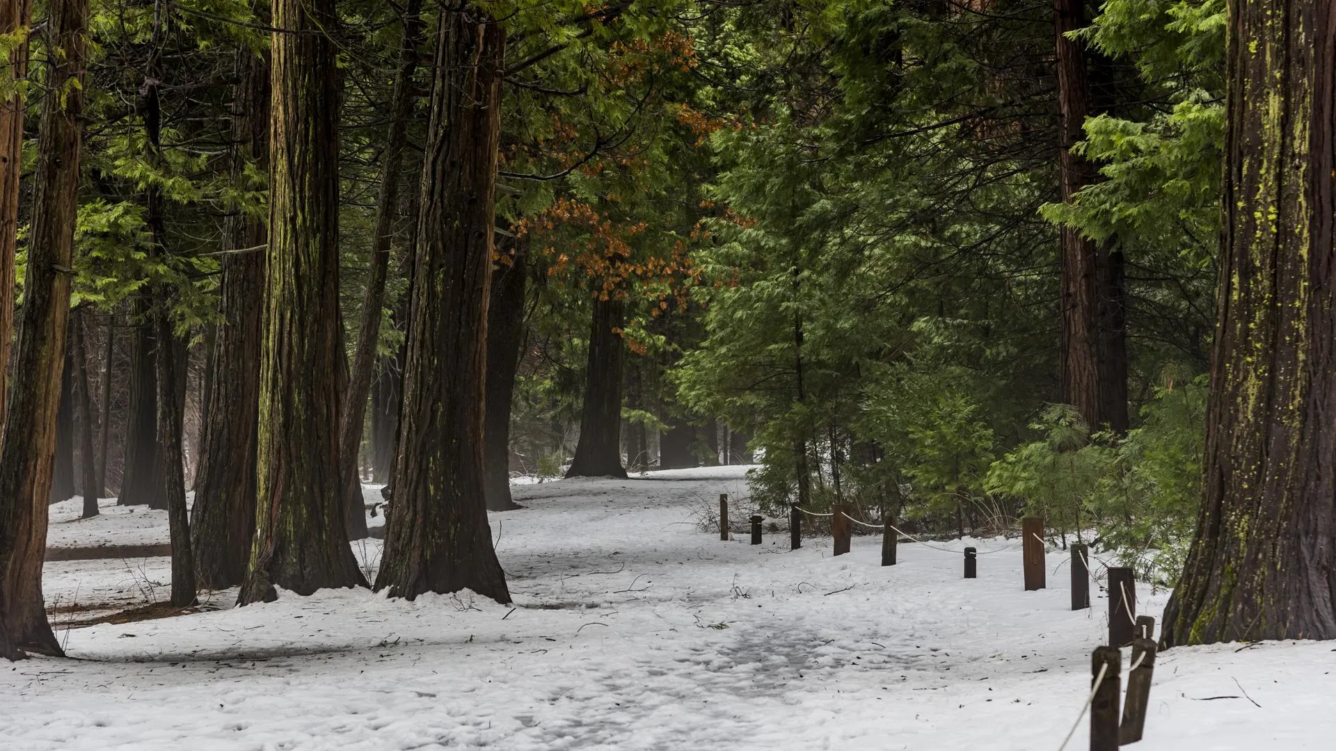 Изображение от wirestock на Freepik