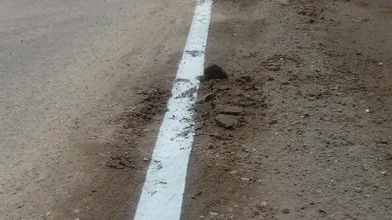 Дорожную разметку уложили прямо в грязь в Сергиевом Посаде