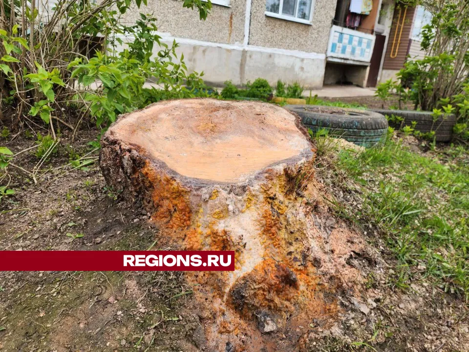 Фото: Яна Шаливская