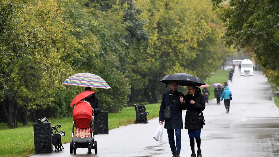 Фото: РИА Новости/Илья Питалев