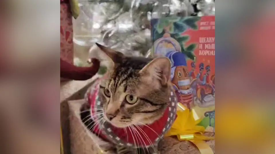 Фото: Парковый комплекс г.о.Клин