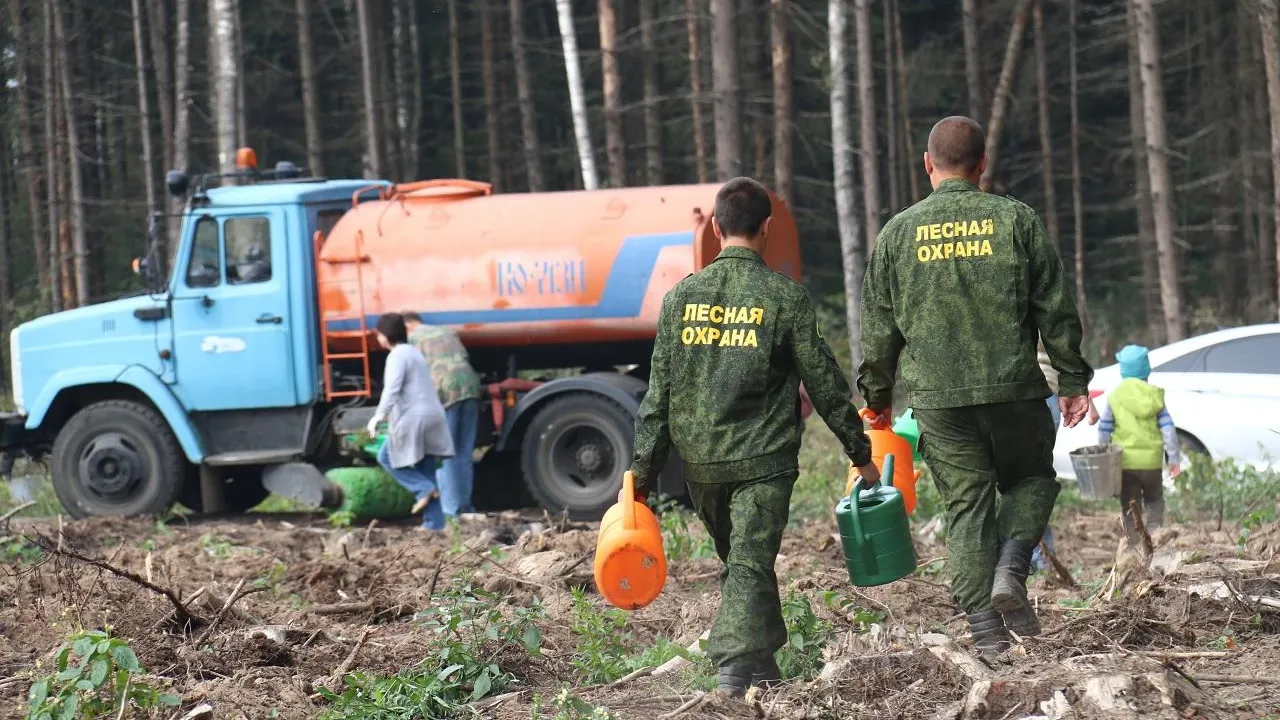 Первый класс пожарной опасности прогнозируется в Подмосковье до конца рабочей недели