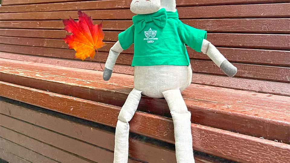 Фото: t.me/parkiLP