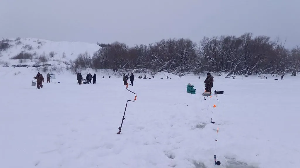 ГКУ МО "Мособлпожспас"