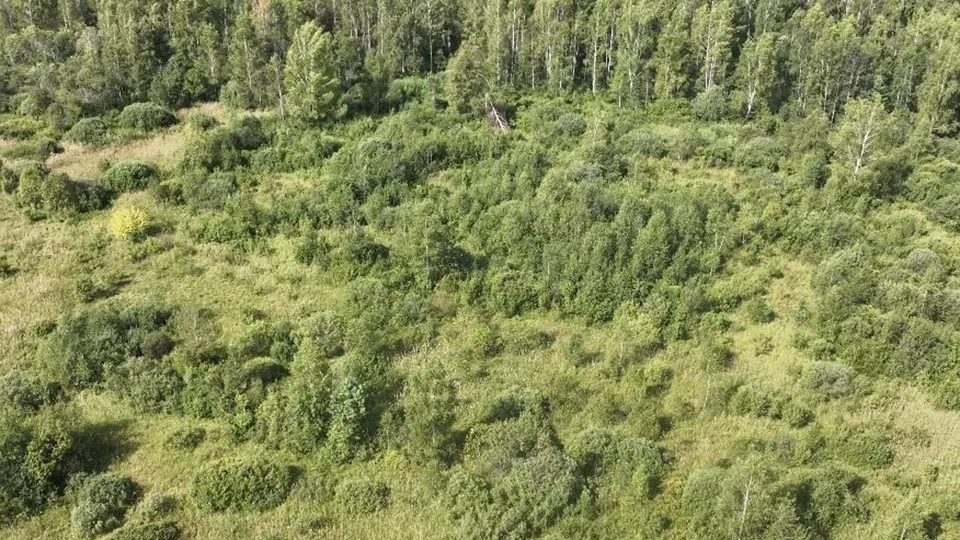 Фото: Минсельхоз МО