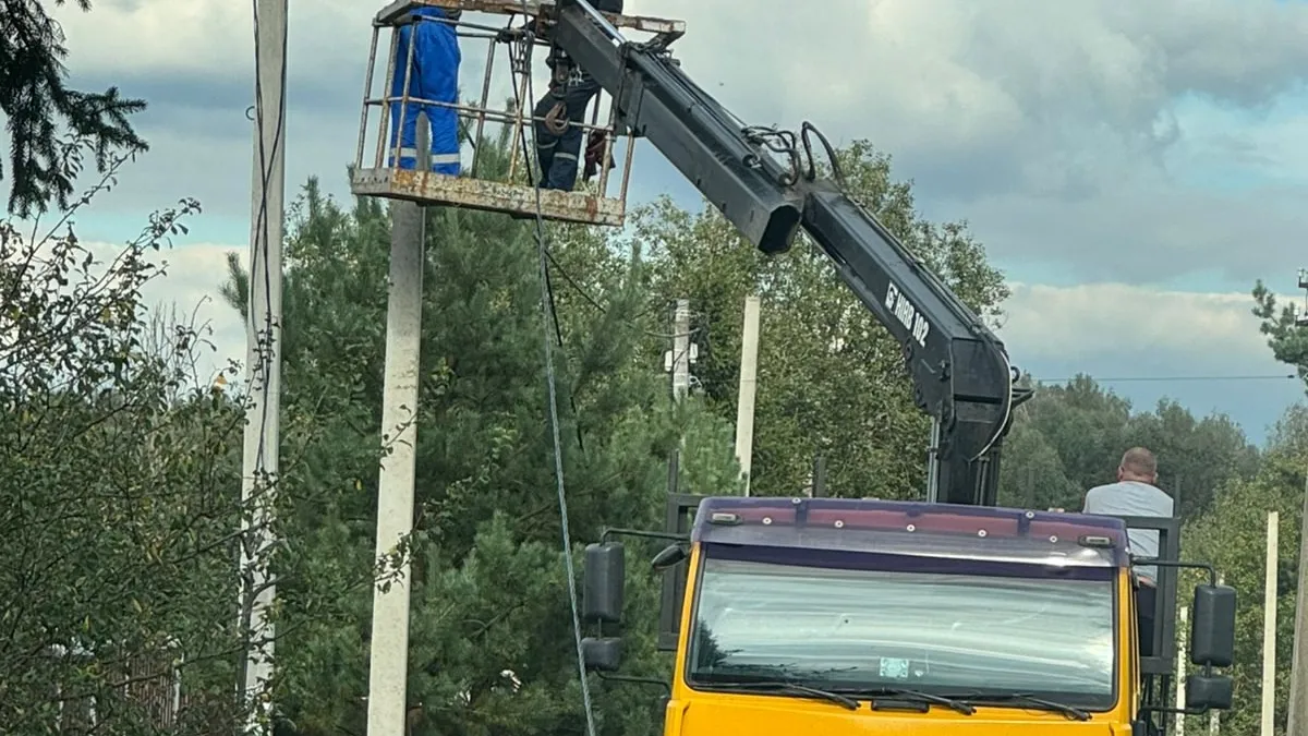 Фото: пресс-служба администрации Наро-Фоминского г.о.