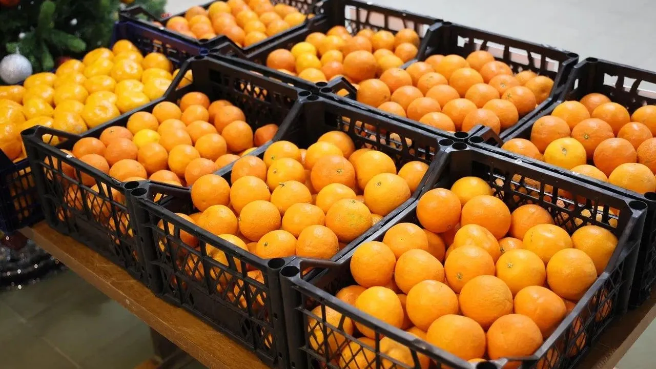 Пресс-служба администрации городского округа Балашиха