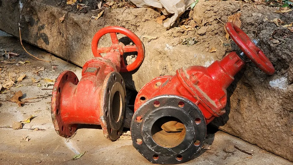 Фото: МедиаБанк Подмосковья/ Дмитрий Беденко