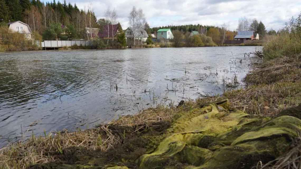 Фото: пресс-служба Администрации Сергиево-Посадского г.о.