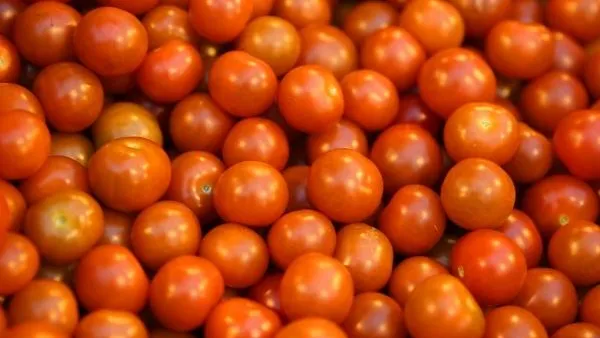 Ученые придумали, как вернуть томатам насыщенный вкус